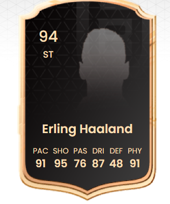 Erling Haaland - Winter Wildcards